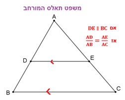 תיאור חזותיש ל משפט תאלס יחד עם המשפט